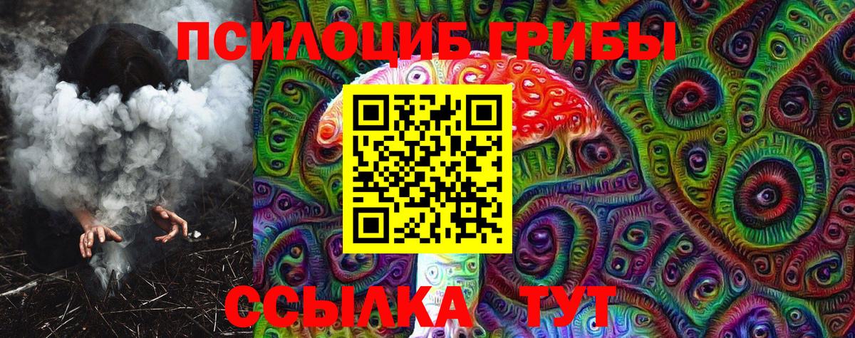 Псилоцибиновые грибы GOLDEN TEACHER  Вход с VPN  Псилоцибиновые грибы ЛСД  Городец 