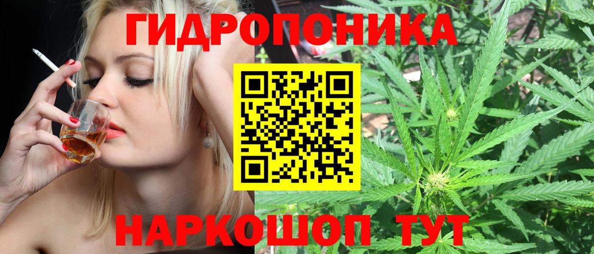 Городец  Шишки марихуана SATIVA & INDICA  Конопля индика  Марихуана марихуана  Вход с VPN 